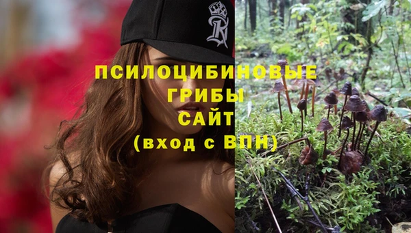 mix Заводоуковск