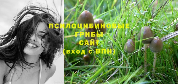 индика Заволжск