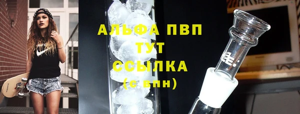 индика Заволжск