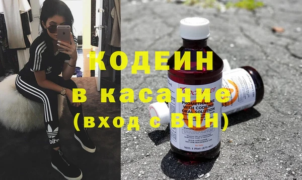 индика Заволжск