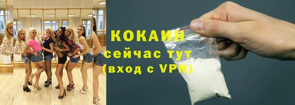 индика Заволжск