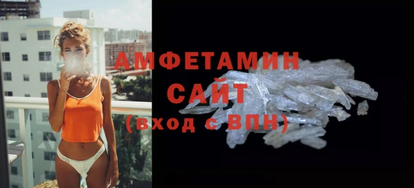 индика Заволжск