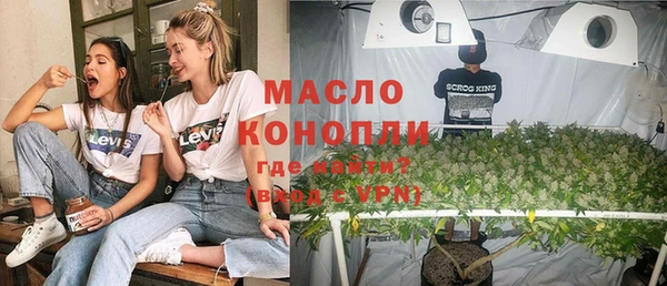 индика Заволжск