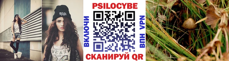 Галлюциногенные грибы Psilocybine cubensis  Купить где  Нюрба 